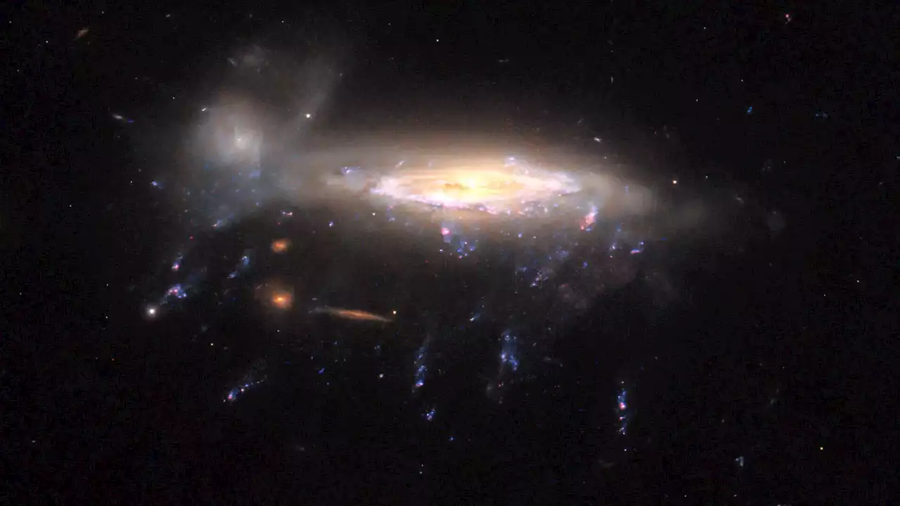 Cosmic Tentacles: The Unexpected Star Factory in Jellyfish Galaxies