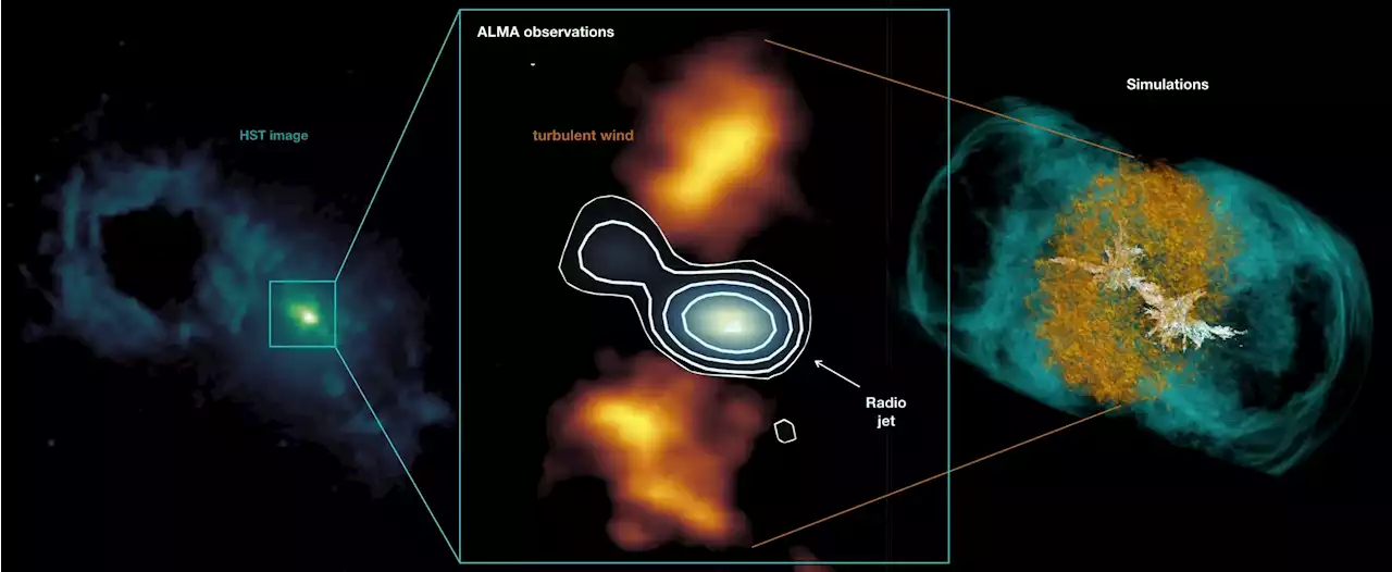 Explosive Secret of Massive Quasar: Relativistic Jets Blowing Bubbles in the Teacup Galaxy’s Core