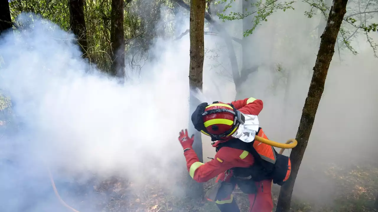 Caza a los pirómanos en Asturias: identifican a cinco presuntos incendiarios y señalan a diez sospechosos