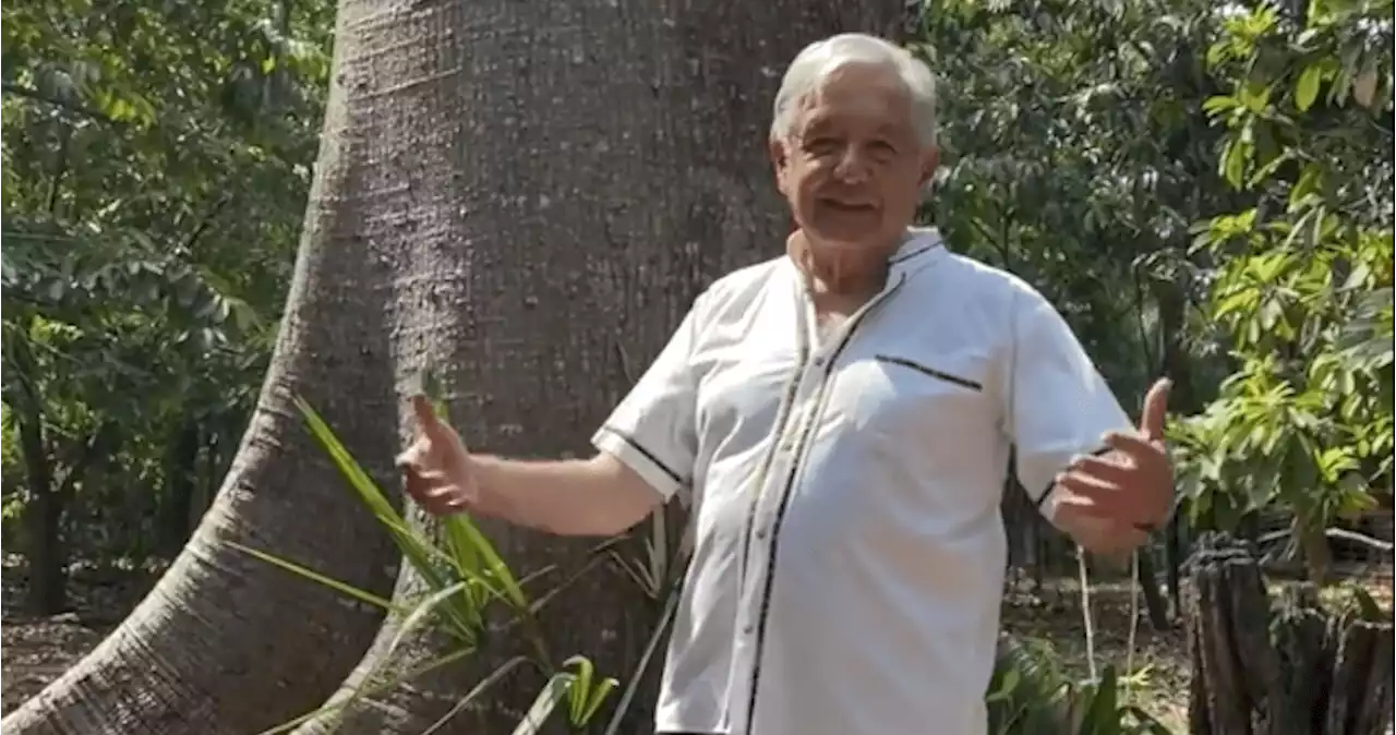 VIDEO | “Son intolerantes”: AMLO acusa a conservadores de intentar frenar “mañaneras”