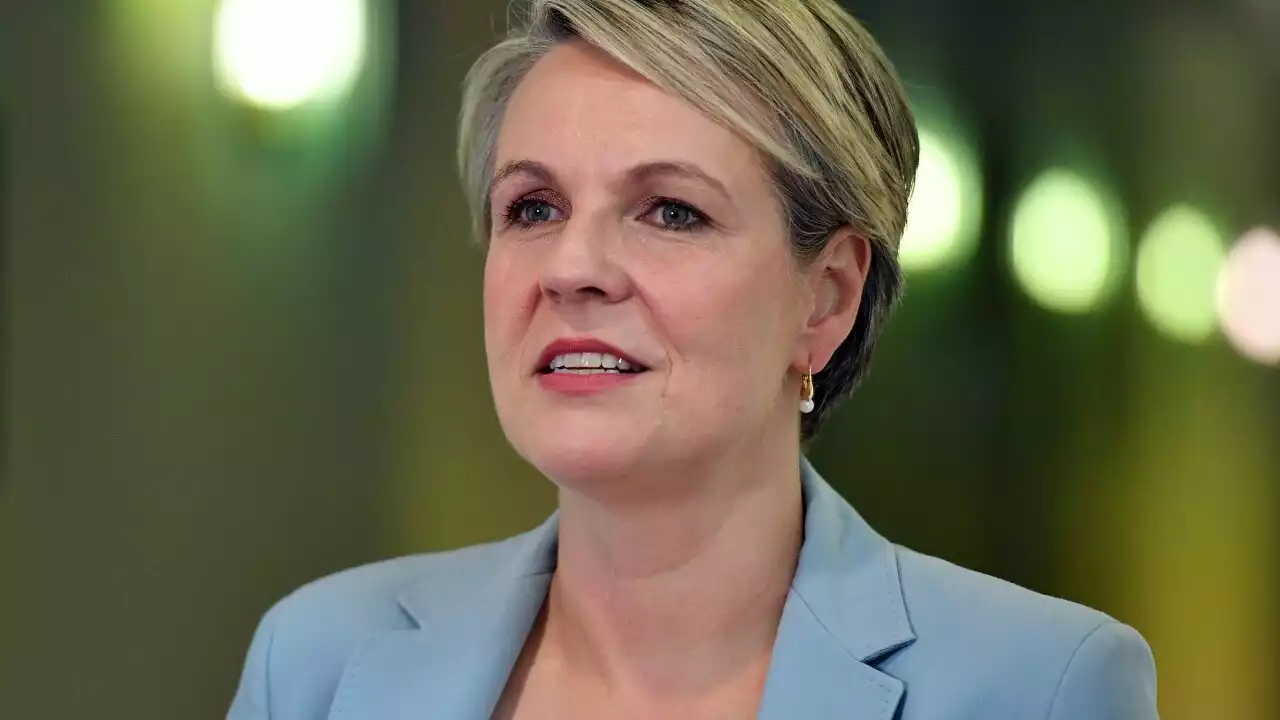 Plibersek confident of more Liberals voicing support ahead of referendum