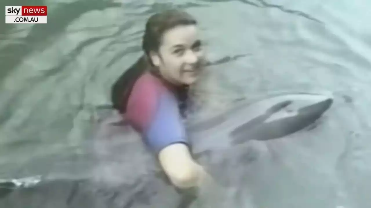 ‘Unconditional friendship’: How an injured dolphin healed Melody Horrill’s traumatic past