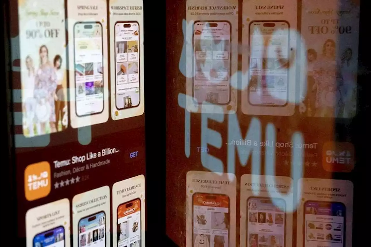 Chinese shopping app Temu wows US amid TikTok fears