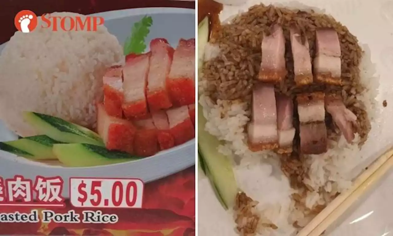 $5 roasted pork rice at Malaysia Boleh in Centrepoint: Expectations versus reality