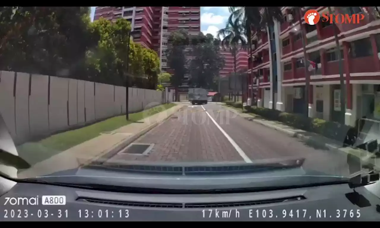 Mother hen crosses road with baby chicks in Pasir Ris, one dies in hit-and-run involving taxi