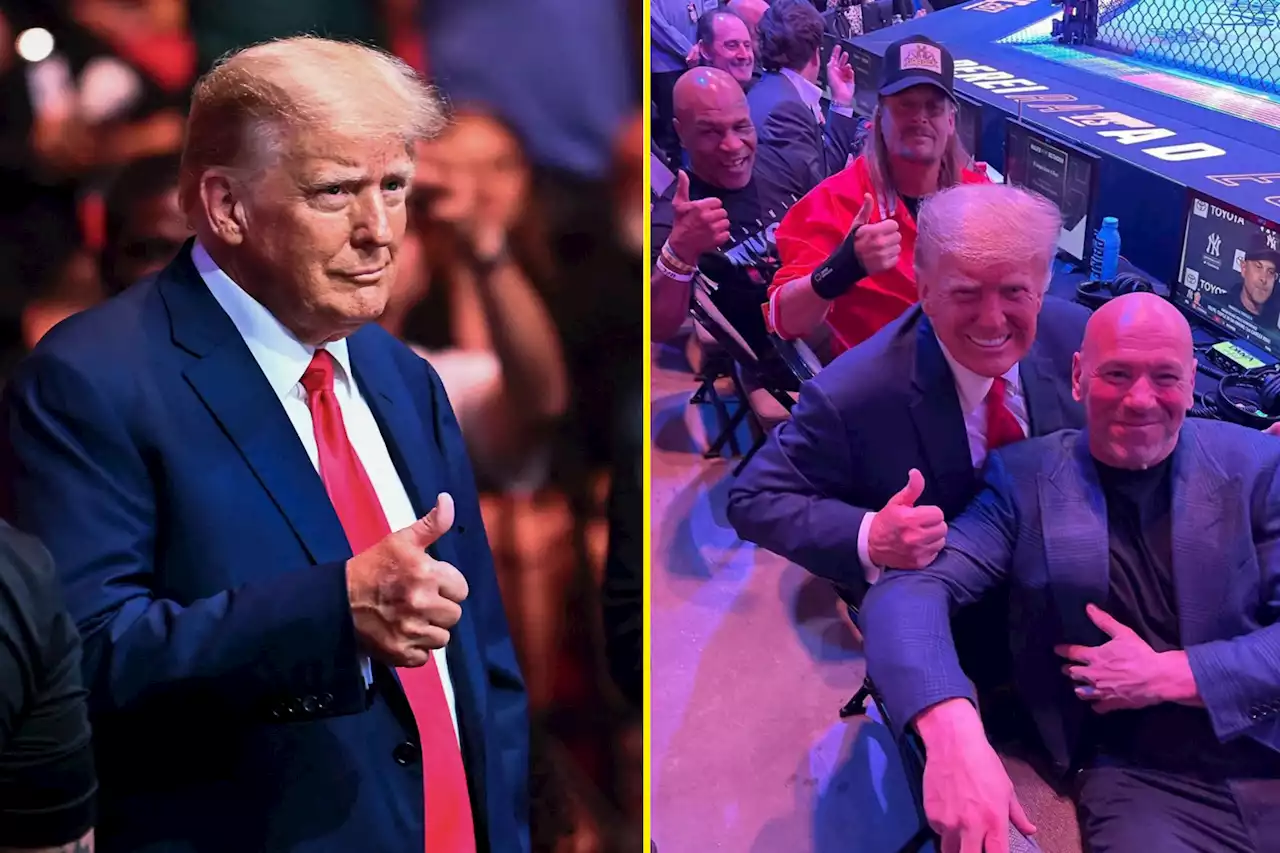 Donald Trump enters UFC 287 to Kid Rock classic and gets biggest cheer days after arrest