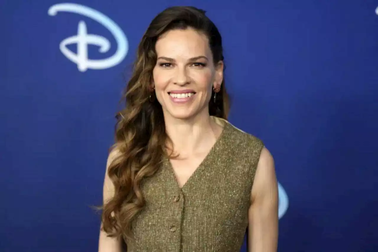 Hilary Swank gives birth to twins, shares 1st photo - Terrace Standard