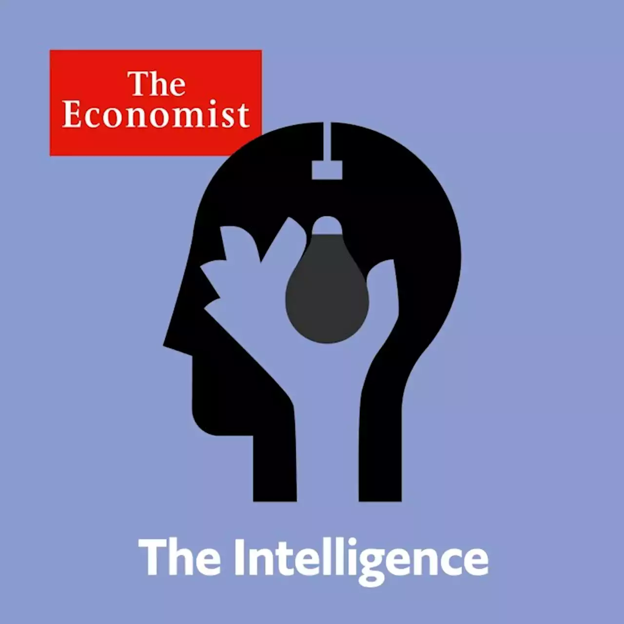 Home economics: housing markets’ future | The Intelligence from The Economist