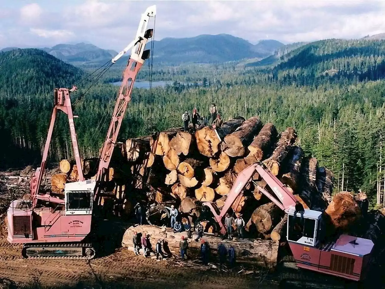 Judge rules against B.C. logging company's request to probe environmentalists' social media info