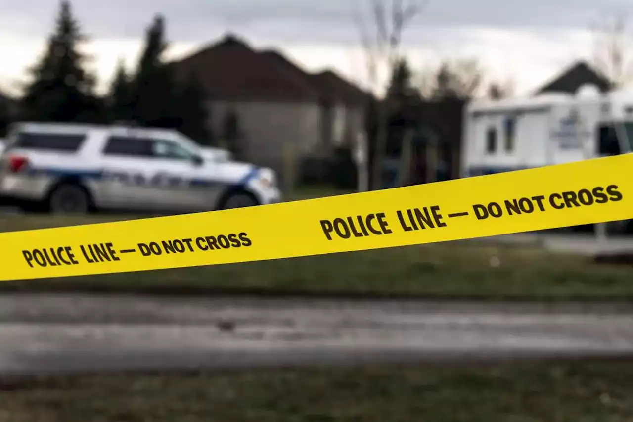 Bystander foils armed carjacking attempt at Brampton gas station