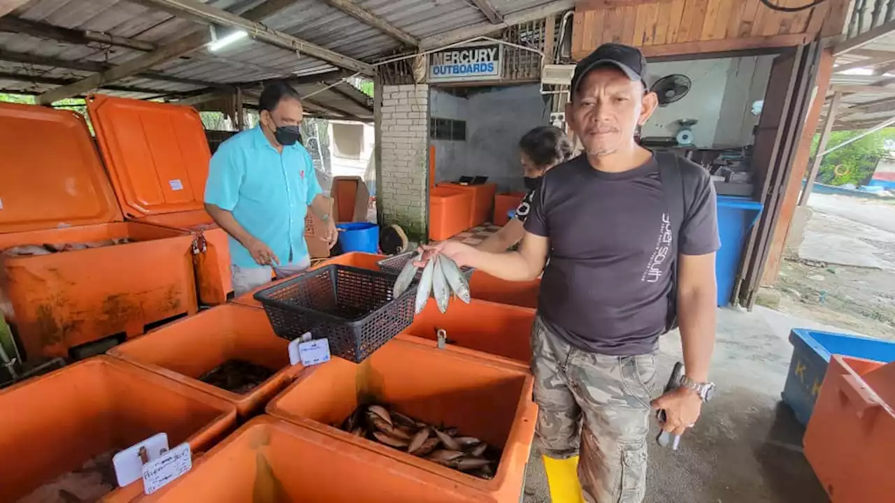 Potong kuota diesel, harga ikan naik mendadak