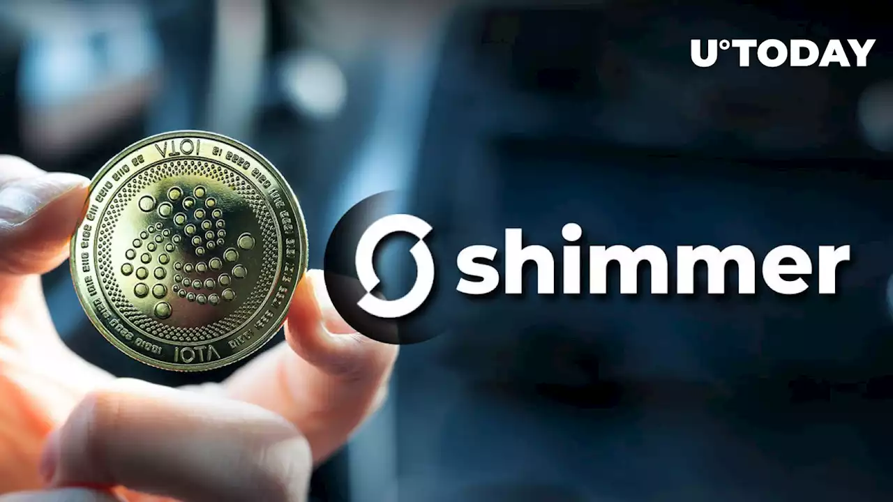 IOTA (MIOTA) Reveals Result of Shimmer Governance Vote: Details