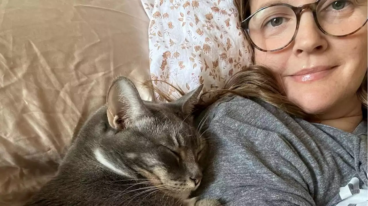 Drew Barrymore ha adottato i suoi 4 gatti in rifugi per animali