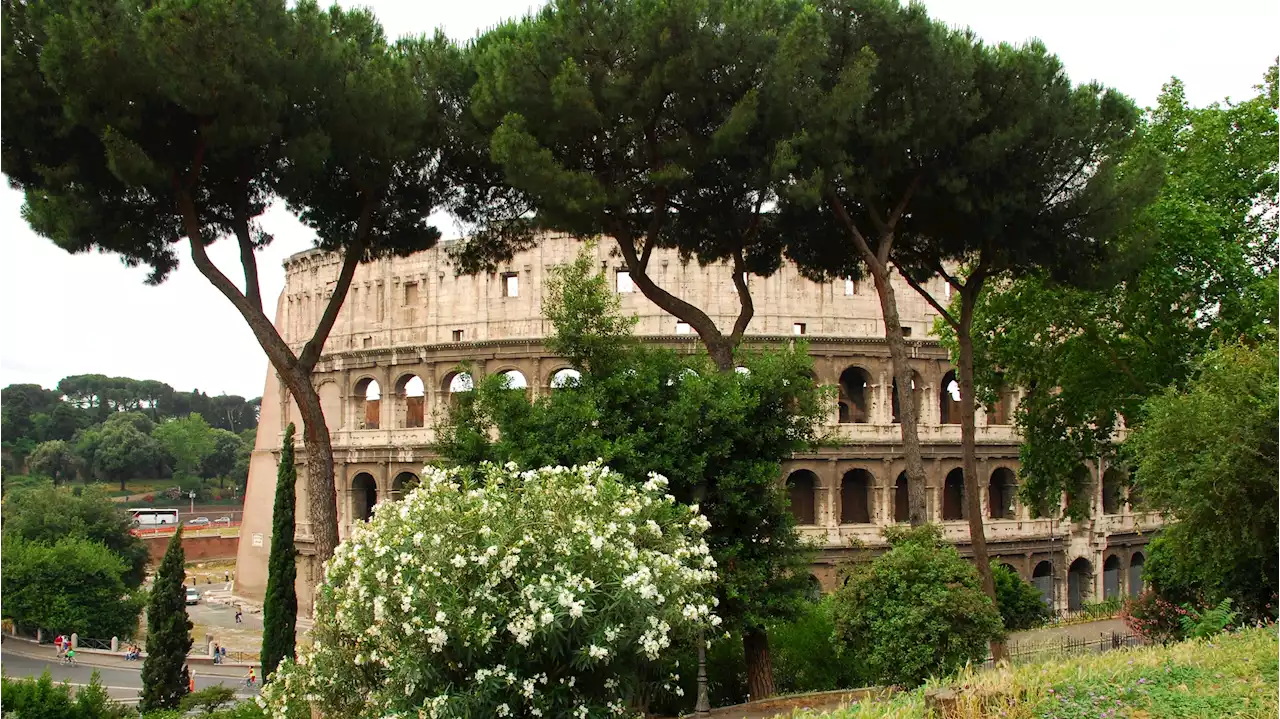 Roma selvaggia: passeggiate nella natura nella città che non ti aspetti