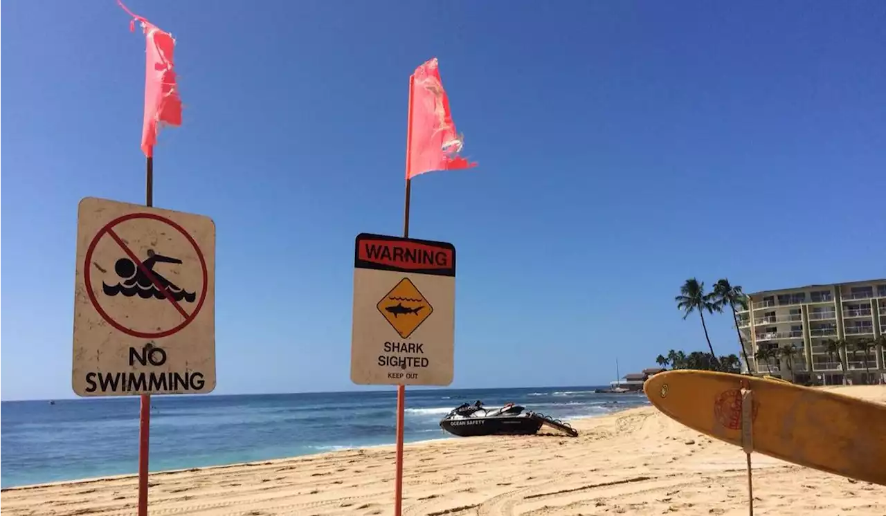 Surfer bitten in leg by shark off the coast of Oahu; fourth attack in Hawaii this year