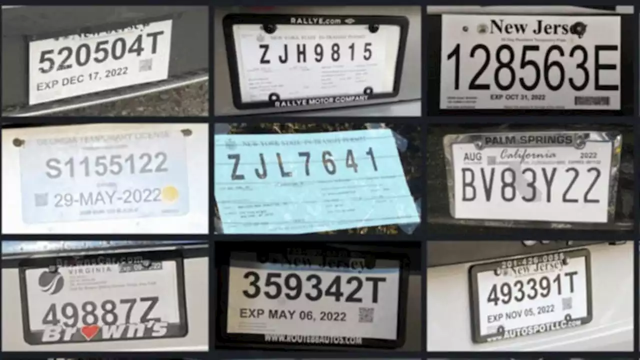 The harm and hurt caused by illegal 'temp license tags'