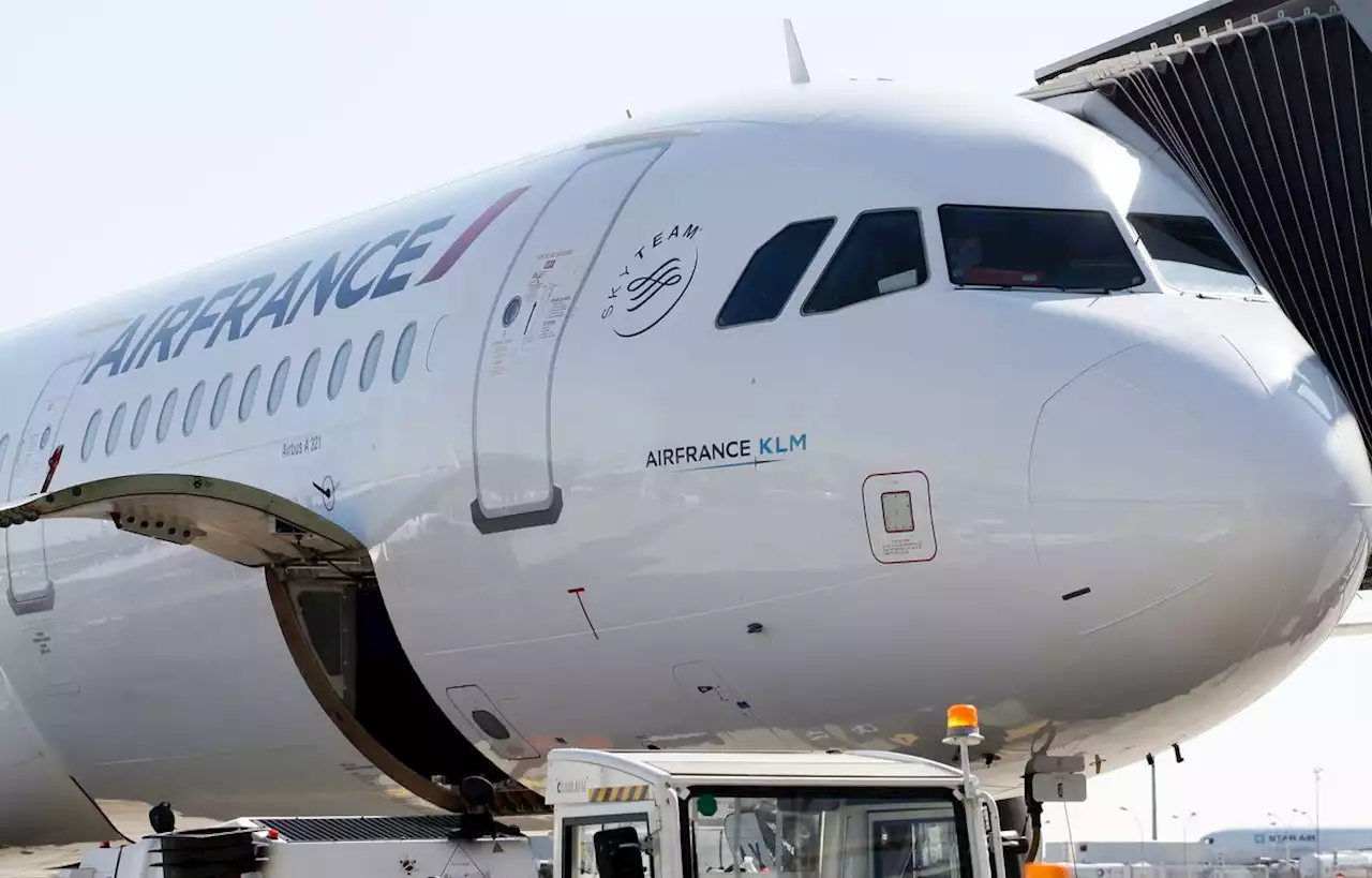 Prendre un vol Air France avec un animal va coûter beaucoup plus cher