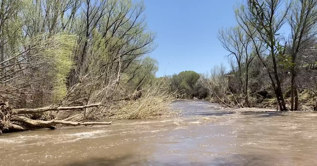 Kayaker rescued after overturning, getting trapped on logs along Verde River