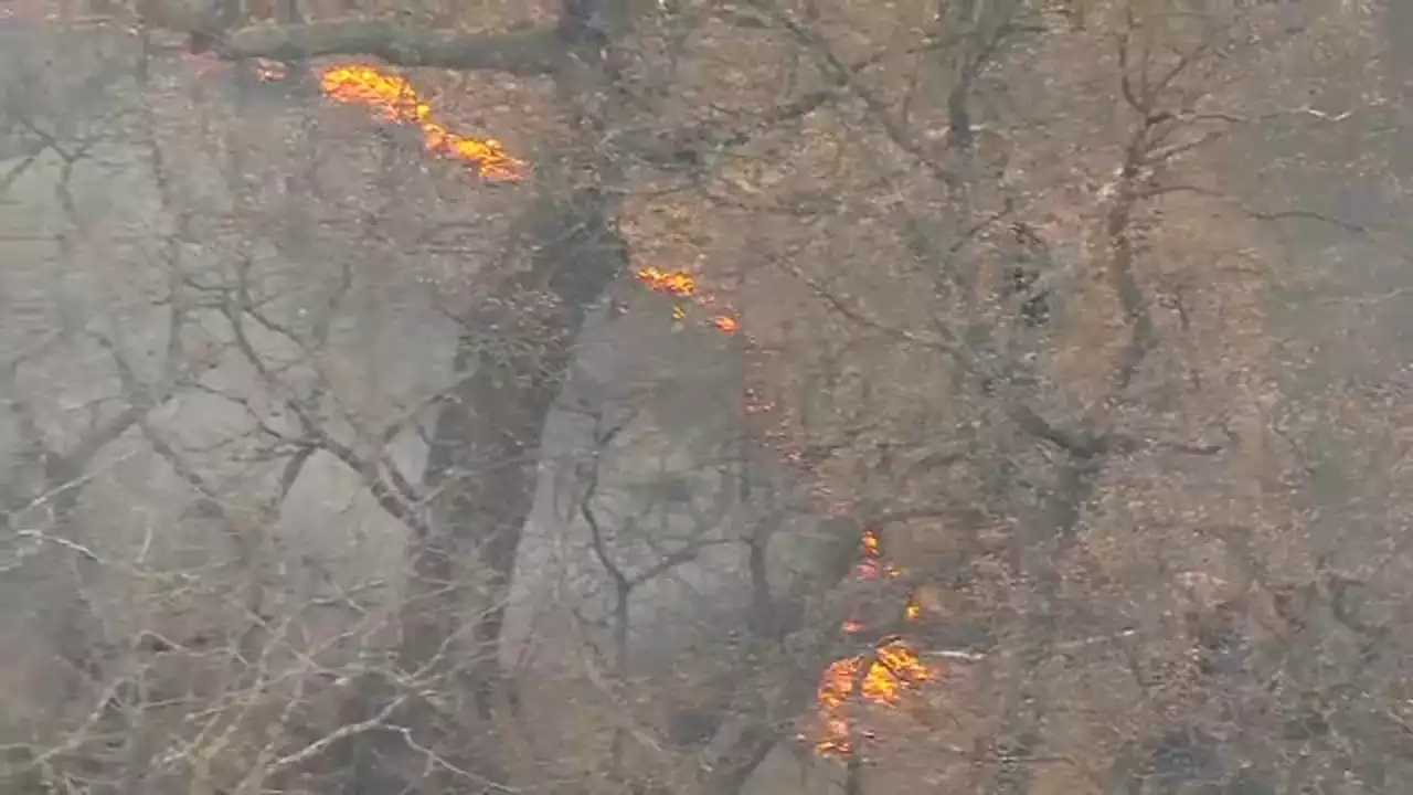 Woodland fire warning issued in Westchester County, officials say