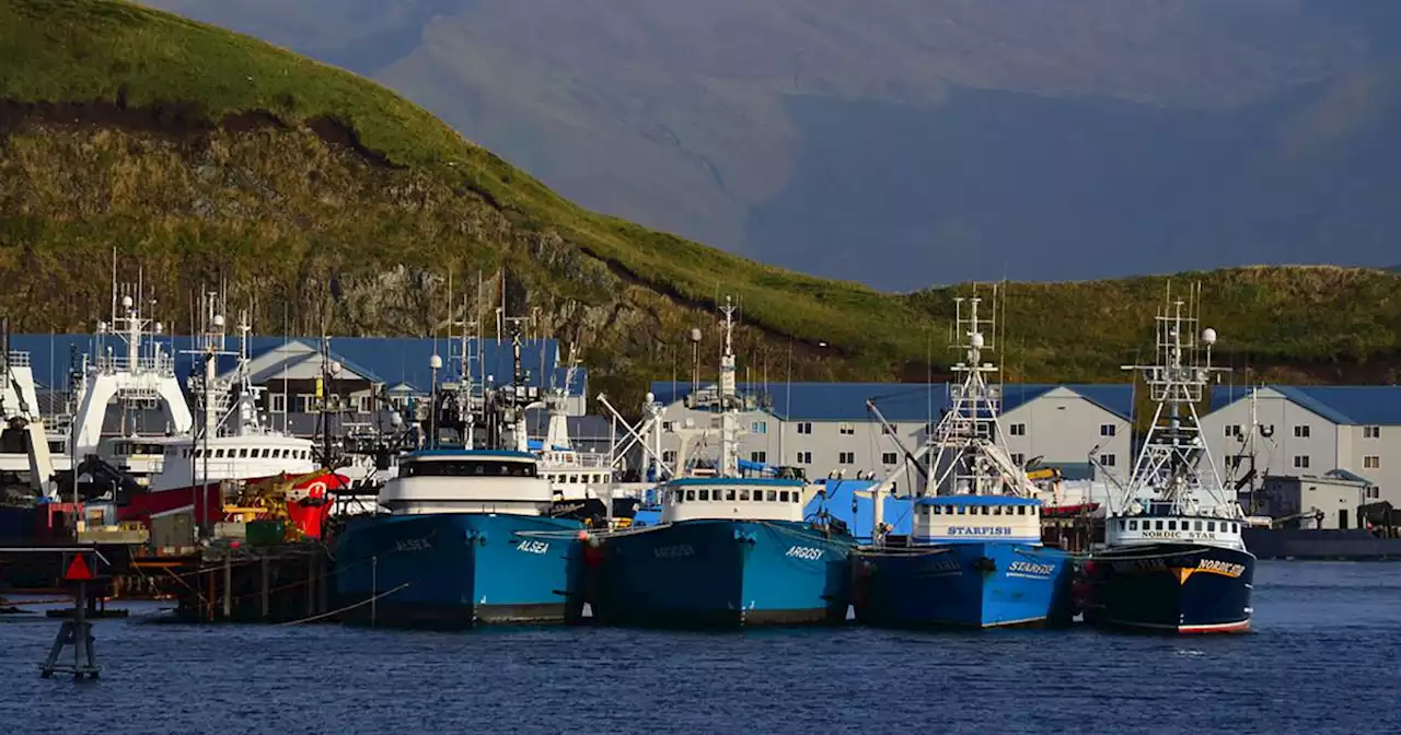 Alaska tribal groups sue federal fisheries managers, seeking action on salmon crisis