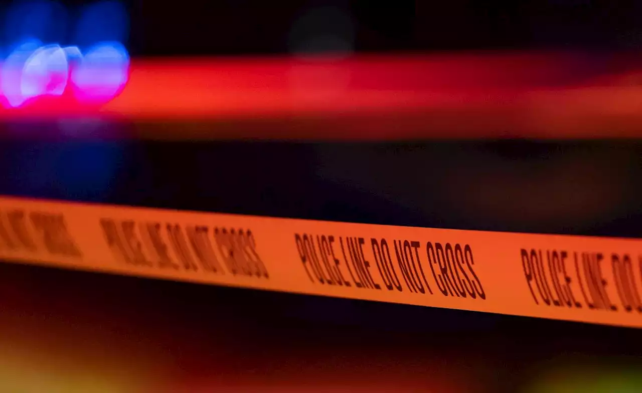 South Africa: Massive Car Pile-Up Leaves Five Dead, Many Injured - South African News Briefs - April 11, 2023