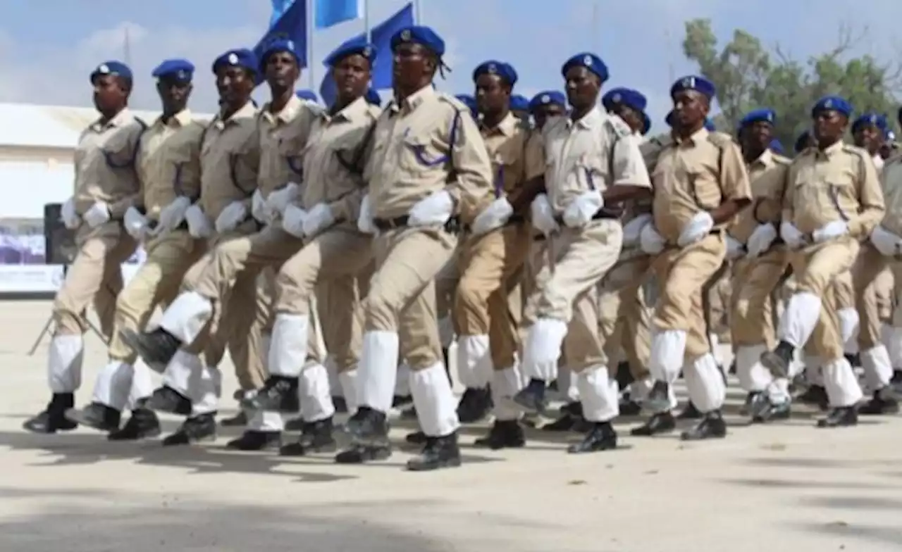 Ethiopia: Somali State Cabinet Unanimously Approves Govt's Plan to Dissolve, Reintegrate Regional Special Forces