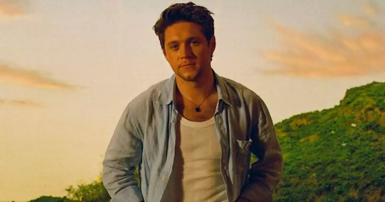 One Direction's Niall Horan gets bandmates to critique his solo music