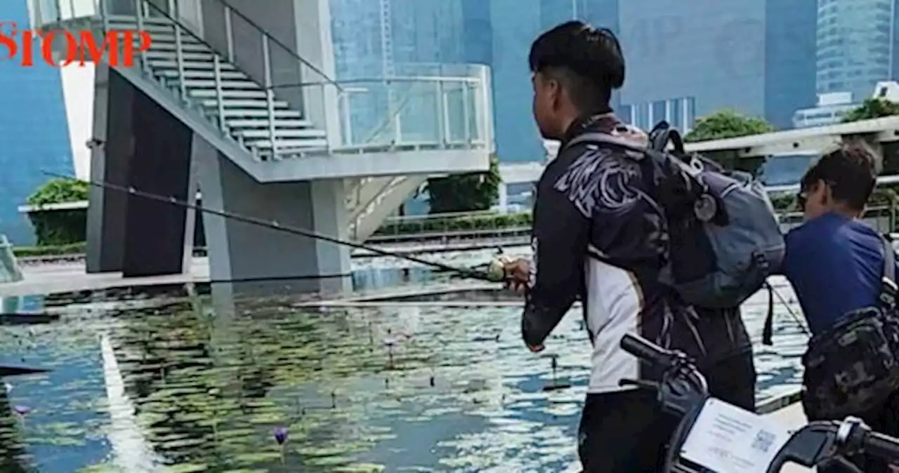 Youths seen fishing at MBS, escaped security with '5 to 8 large goldfishes'