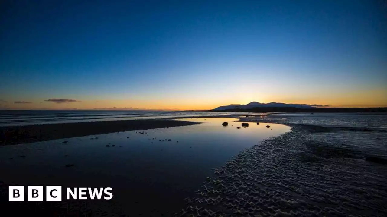 Bid to save Tyrella beach sand dunes with conservation project