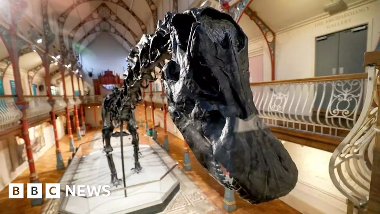 Two in court after Dippy the Diplodocus protest