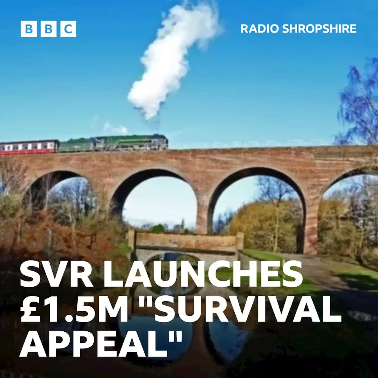 Severn Valley Railway launches £1.5M 'survival' appeal