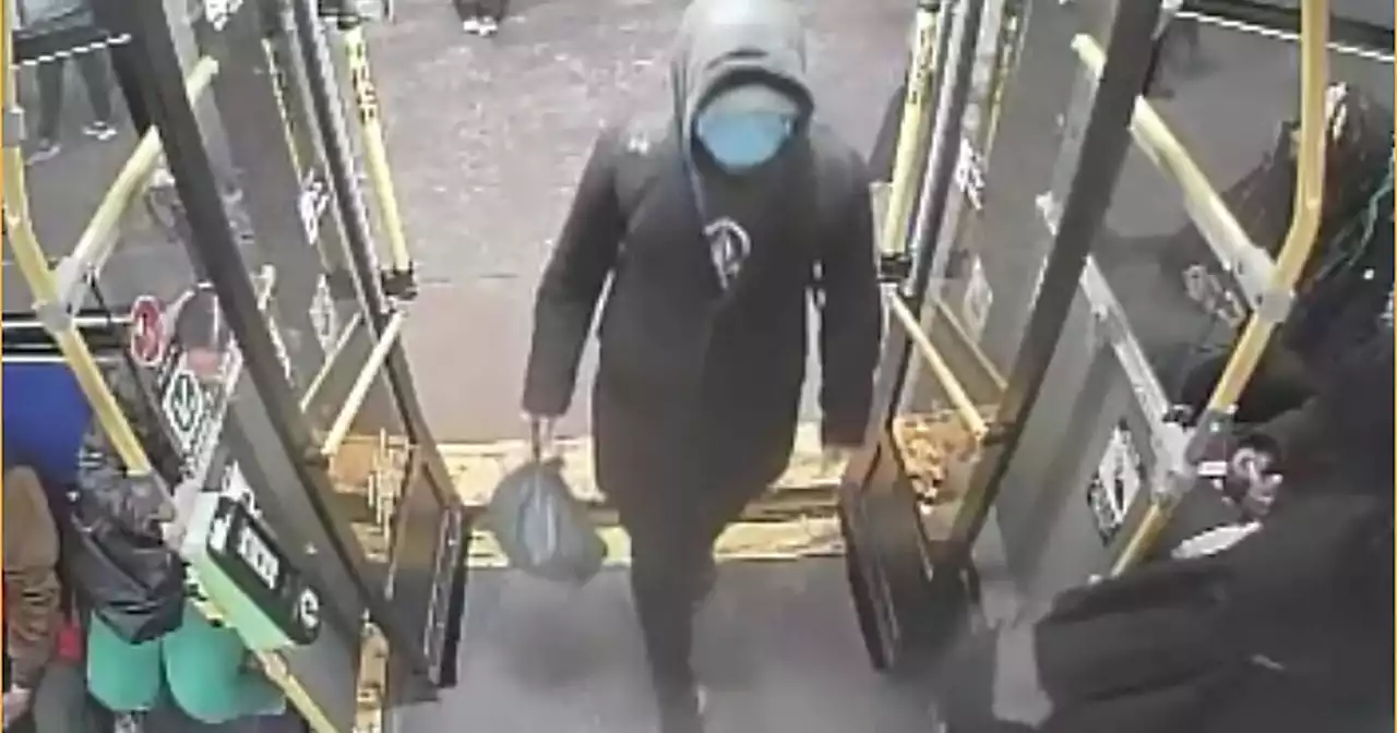 Toronto police looking for suspect after teenager sexually assaulted on TTC bus