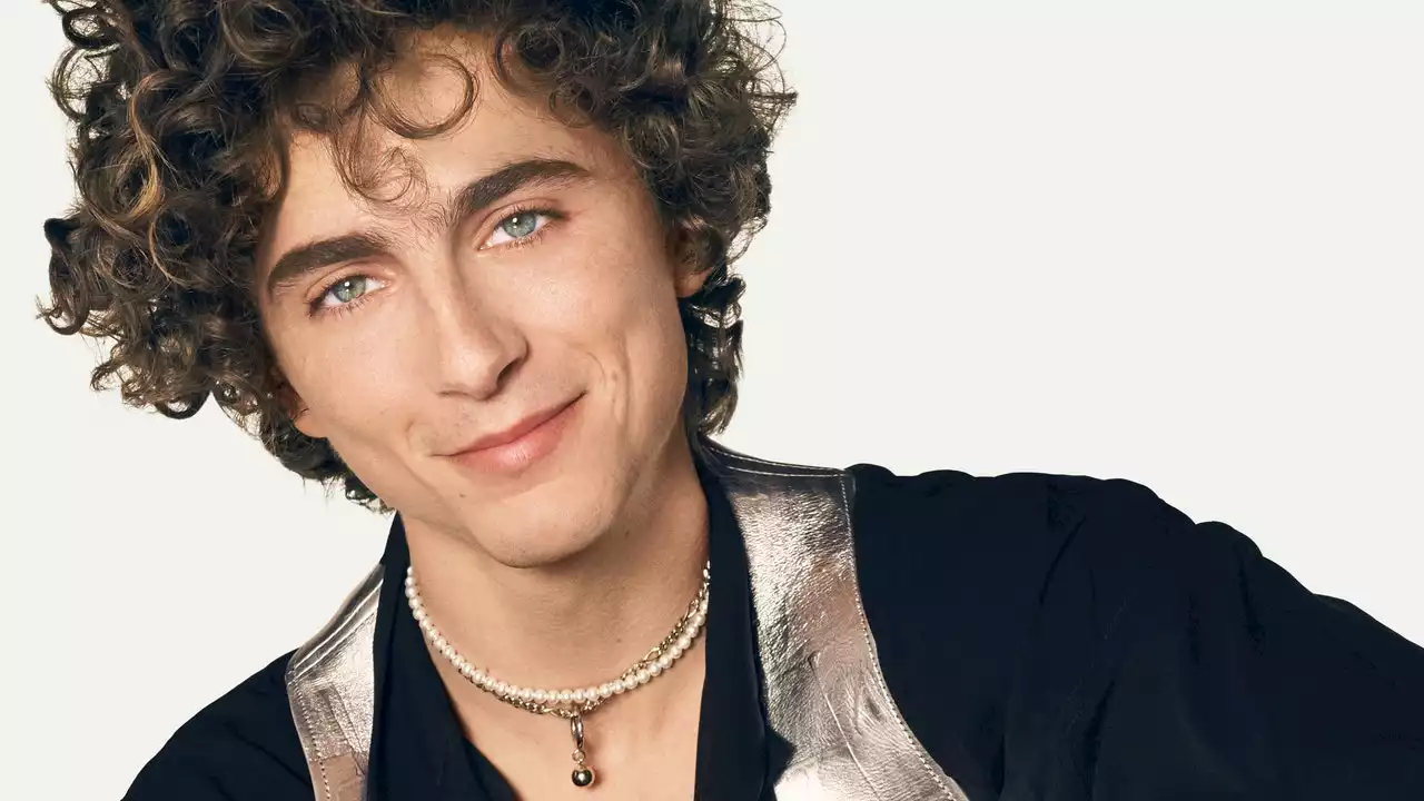 Timothée Chalamet Will Record His Own Vocals For His Bob Dylan Biopic