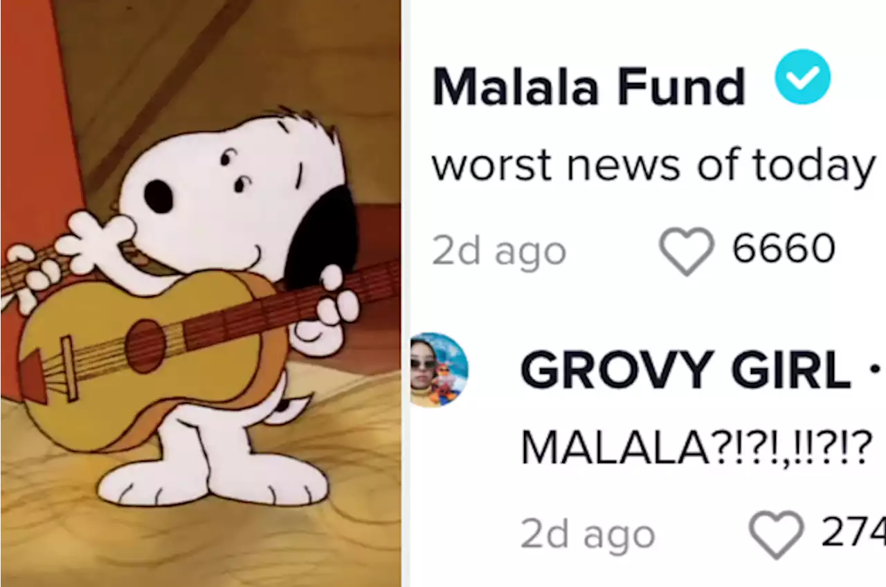 A Viral Snoopy Fancam Editor Revealed Why She Was Grounded From TikTok, And Responded To The Malala Fund’s Comment About It Being “The Worst News Of The Day”