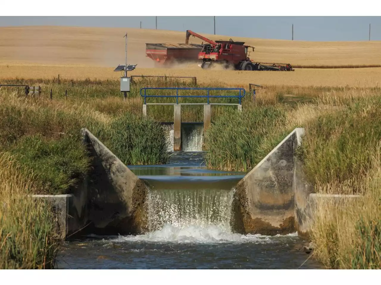 Opinion: Head in sand approach leads to more irrigation in a dry land with shrinking rivers