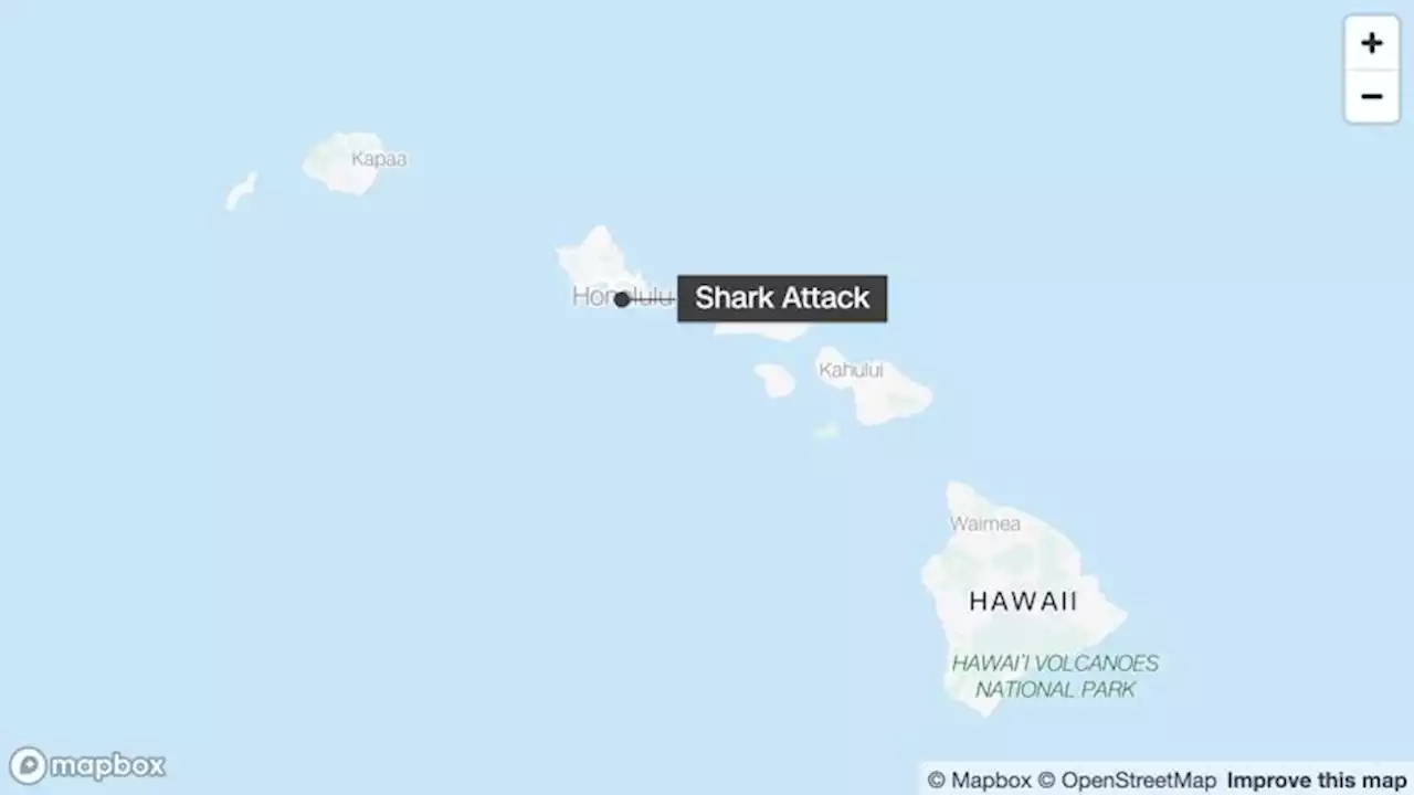 Shark bite leaves surfer in Hawaii in serious condition | CNN