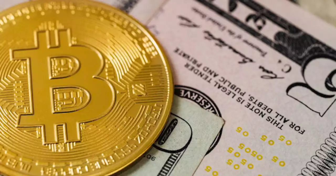 Bitcoin en modo codicia: por qu� es el momento de m�s fe en los inversores