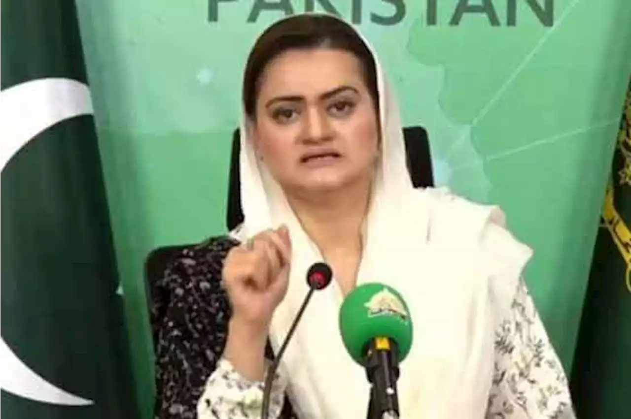 پی ٹی آئی کا دور حکومت معاشی بدحالی، ہمارا ایک سال کامیابی کا سال ہے، مریم اورنگزیب