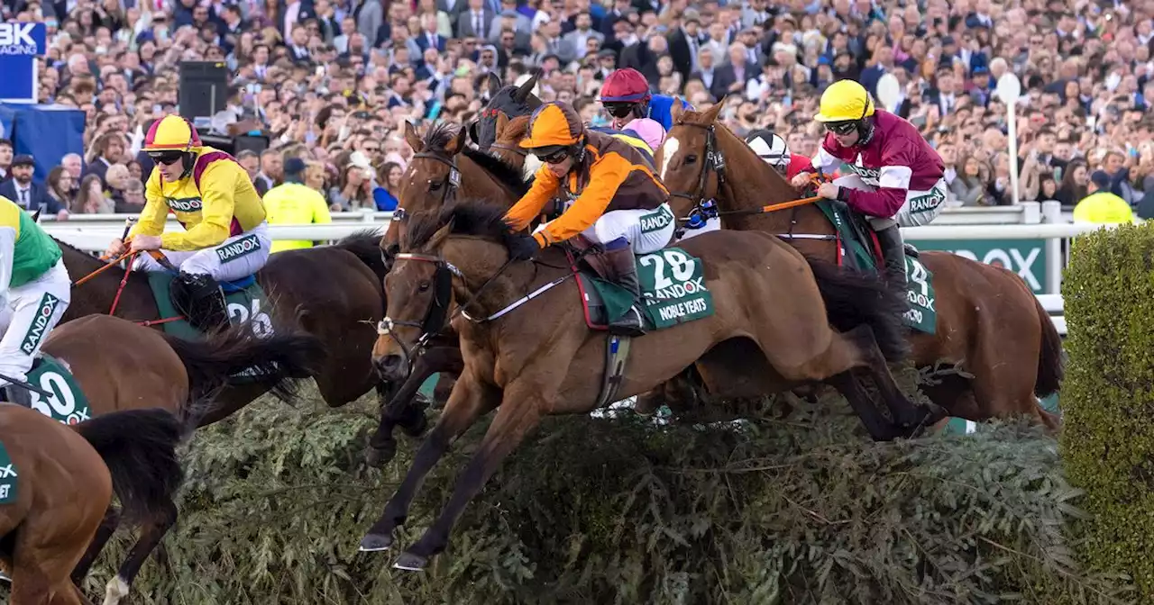 Download your free Grand National 2023 sweepstake kit