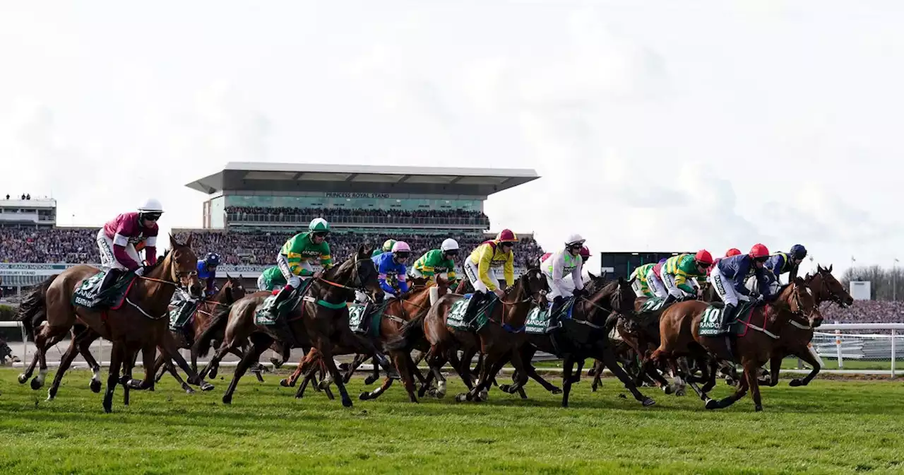 Grand National 2024 tickets: How to get priority access