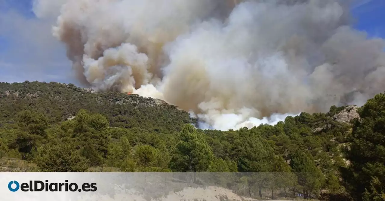 Declarado un incendio forestal en el Parque Natural del Alto Tajo