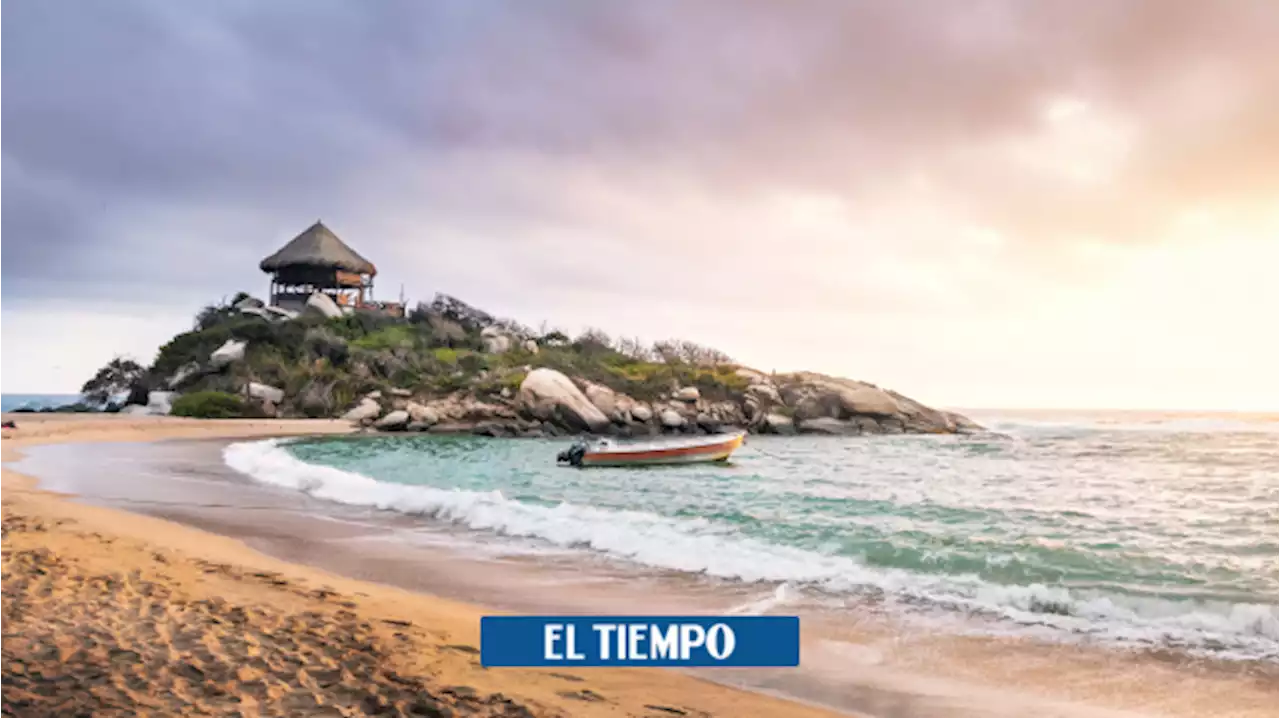 Parque Tayrona: senderismo y avistamiento de fauna y flora en un entorno único