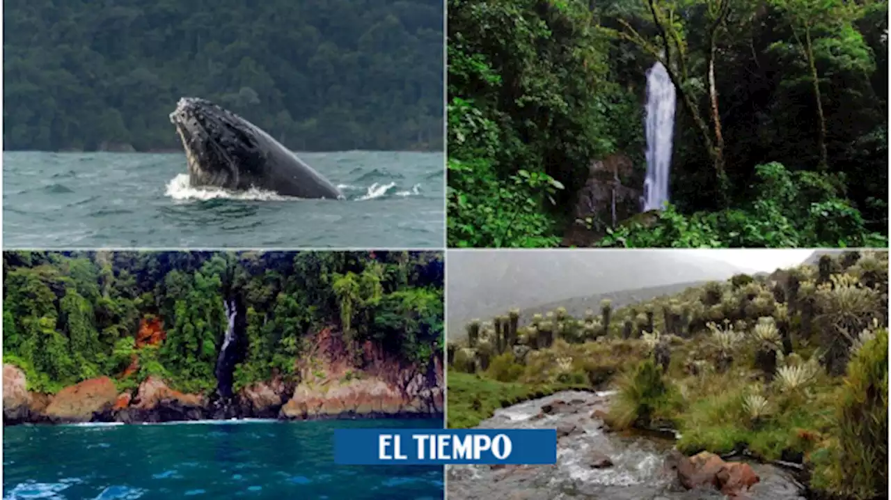 Parques Nacionales de Colombia: la belleza natural en su máxima expresión