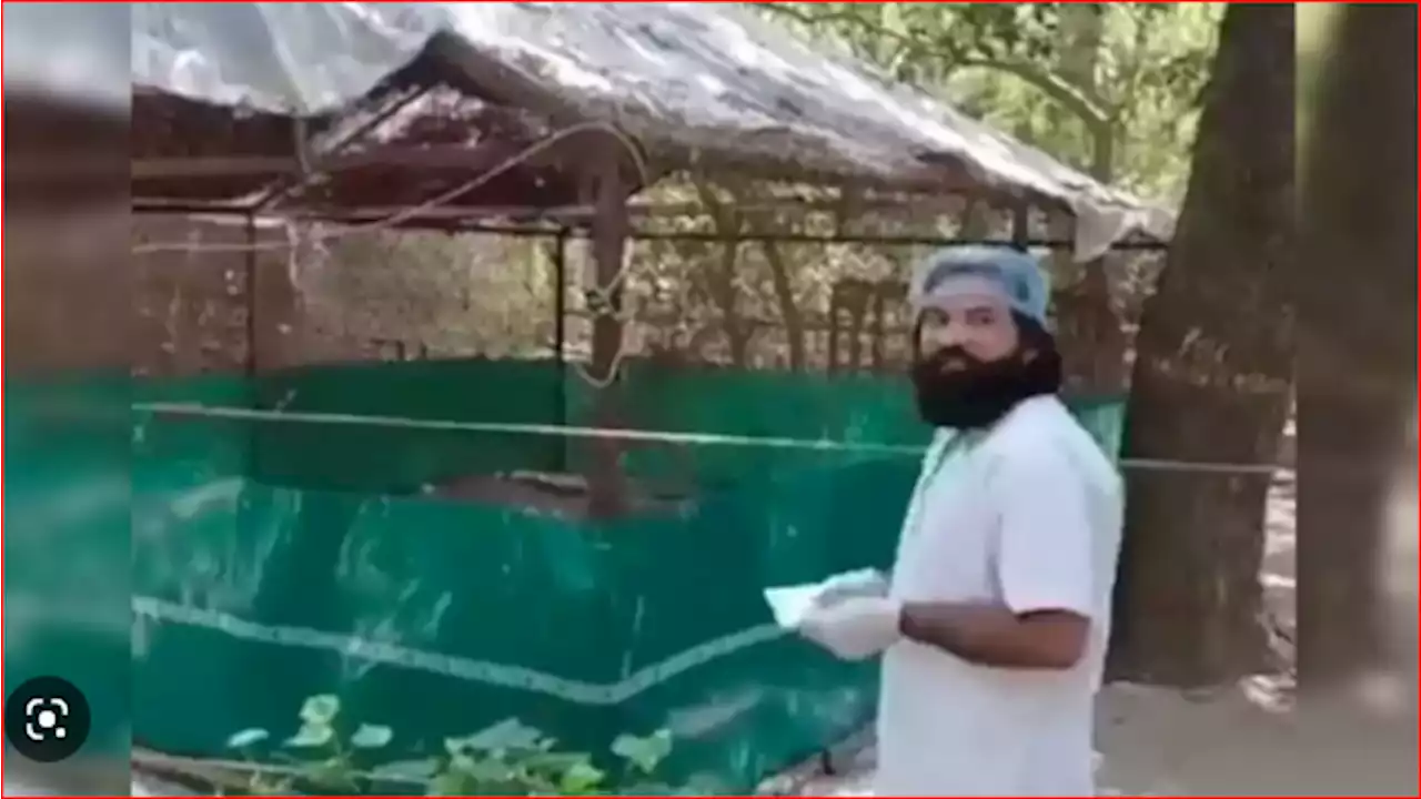 جان بچانے والے محسن کو عرصے بعد دیکھ کر پرندہ جذباتی ہوگیا - ایکسپریس اردو