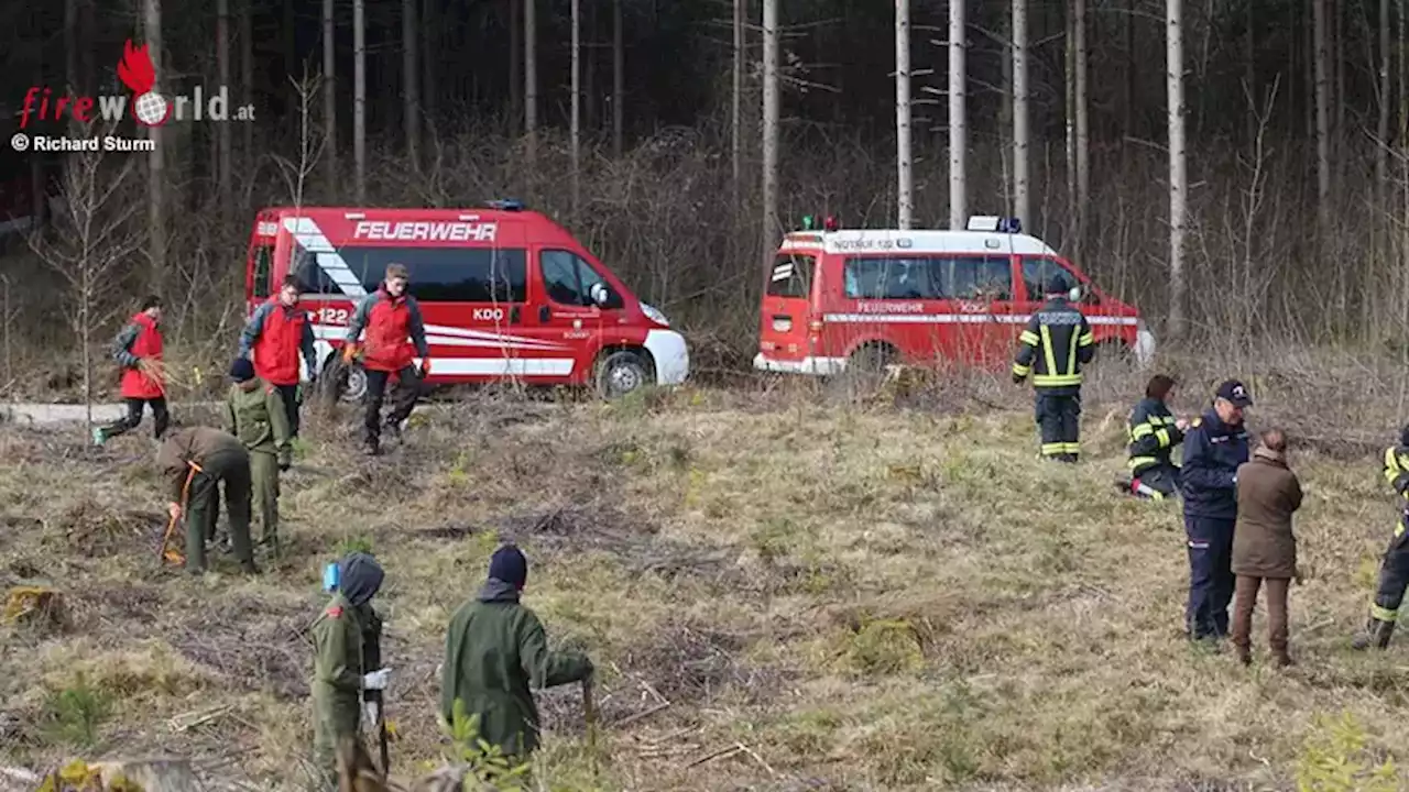 Oö: Gmundens Feuerwehrjugend als Baumpflanzer unterwegs