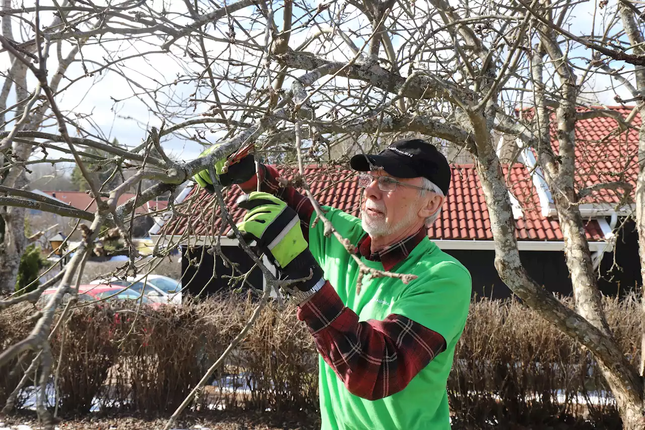 Veteranpoolen i Gävle nyanställer minst 70 personer