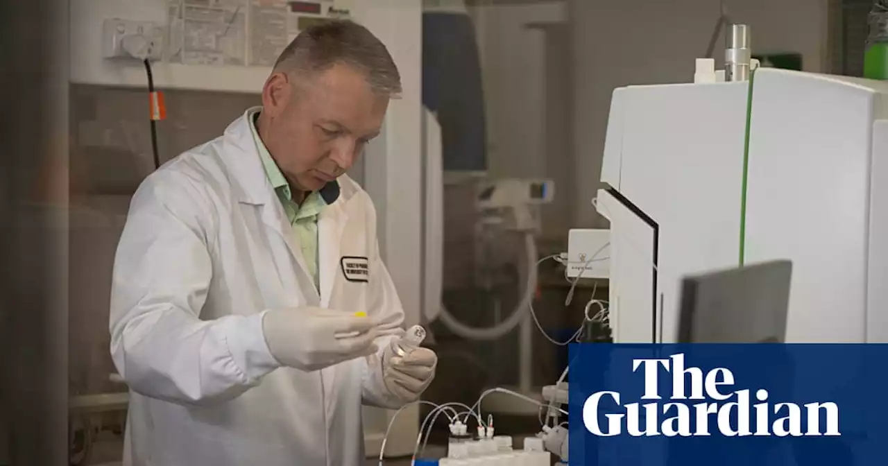 Australian scientists grow replica human lungs and call for end to animal testing