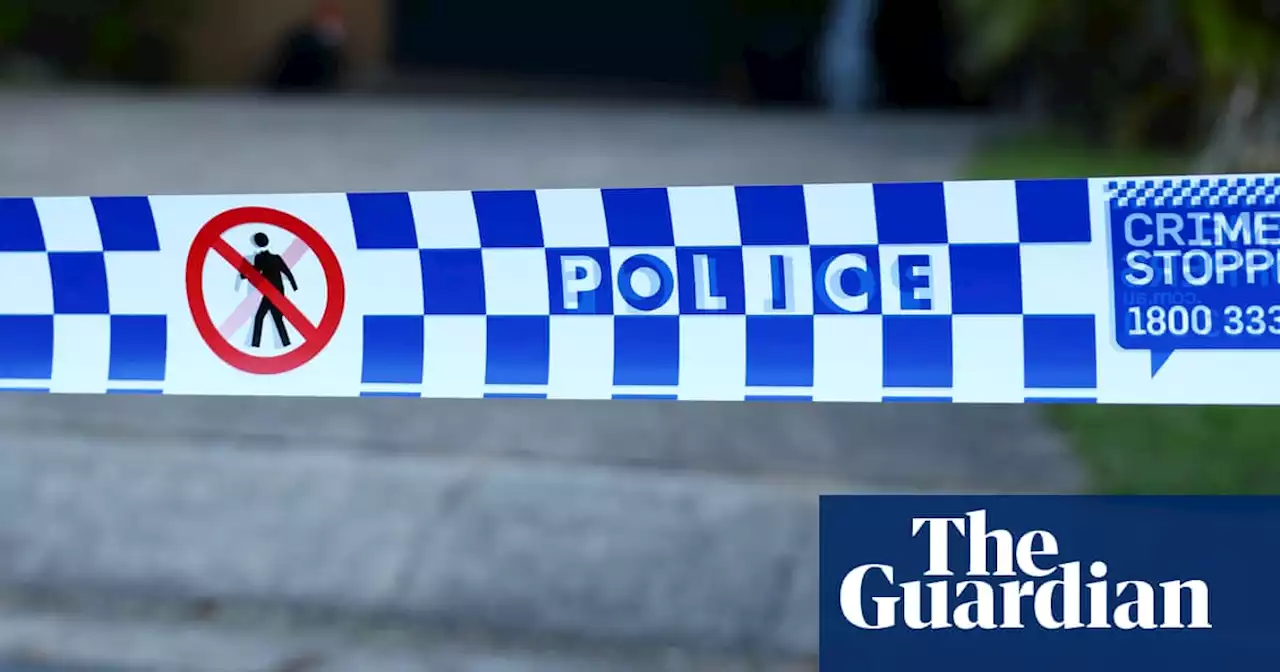 Six-year-old girl in serious condition following dog attack south of Brisbane