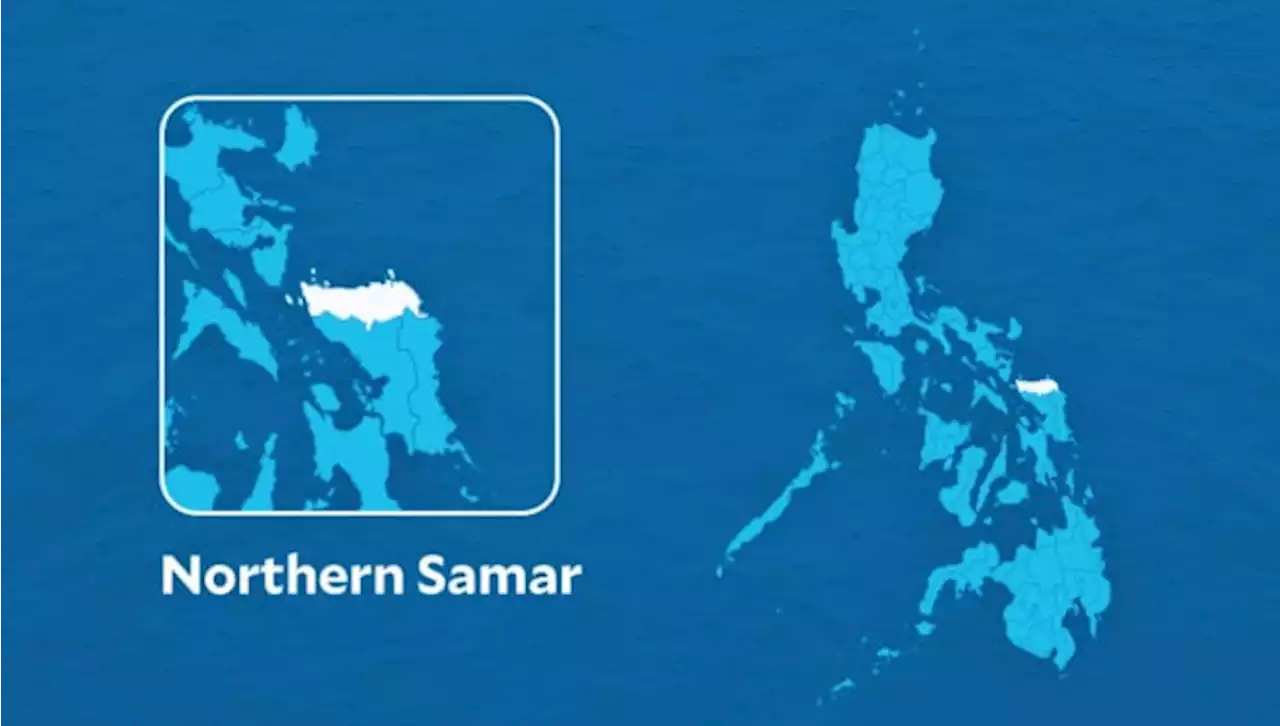 Boy dies after cut coconut tree fell on him in Northern Samar