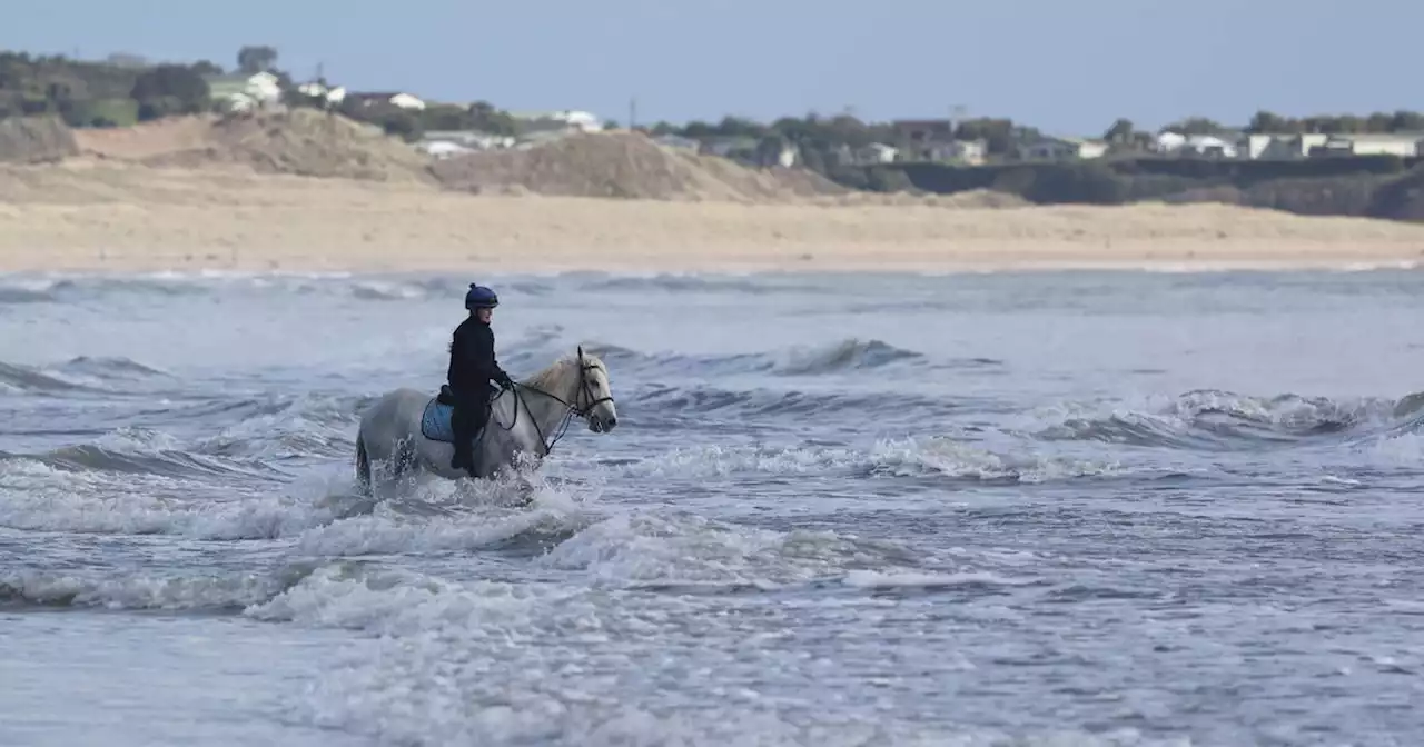 Status yellow wind warning in place for 10 eastern counties as heavy downpours expected